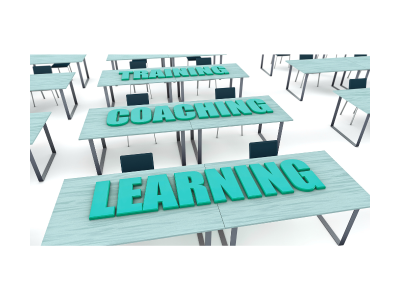 Ina Professional Consulting - Consultanta business / Training / Marketing