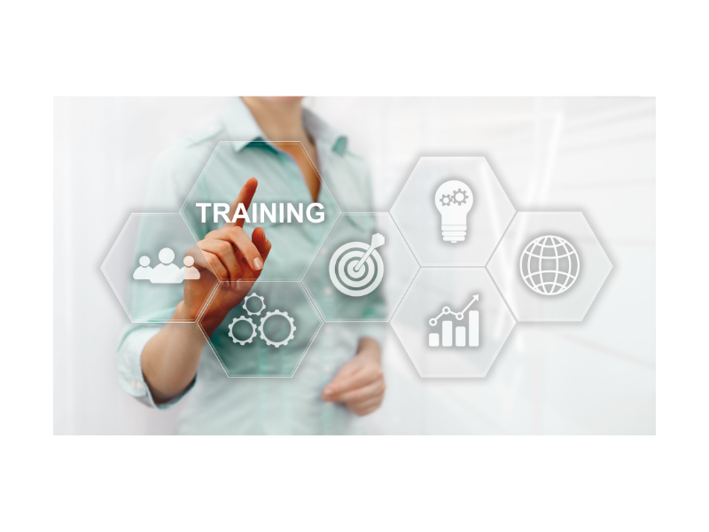 Ina Professional Consulting - Consultanta business / Training / Marketing